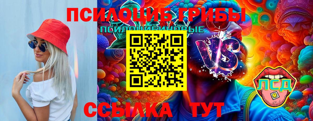 Галлюциногенные грибы MAGIC MUSHROOMS Губкин
