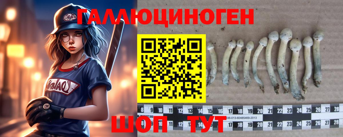 Галлюциногенные грибы ЛСД  Галлюциногенные грибы Psilocybine cubensis  Губкин  Вход с VPN 