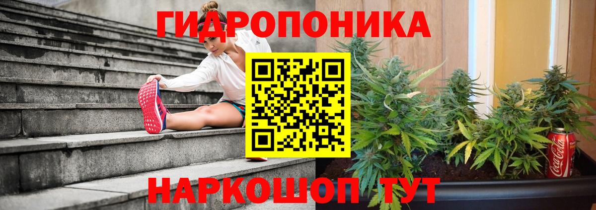 Бошки Шишки ГИДРОПОН Губкин